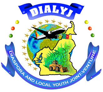 DIASPORA AND LOCAL YOUTH JOINT-VENTRUE
